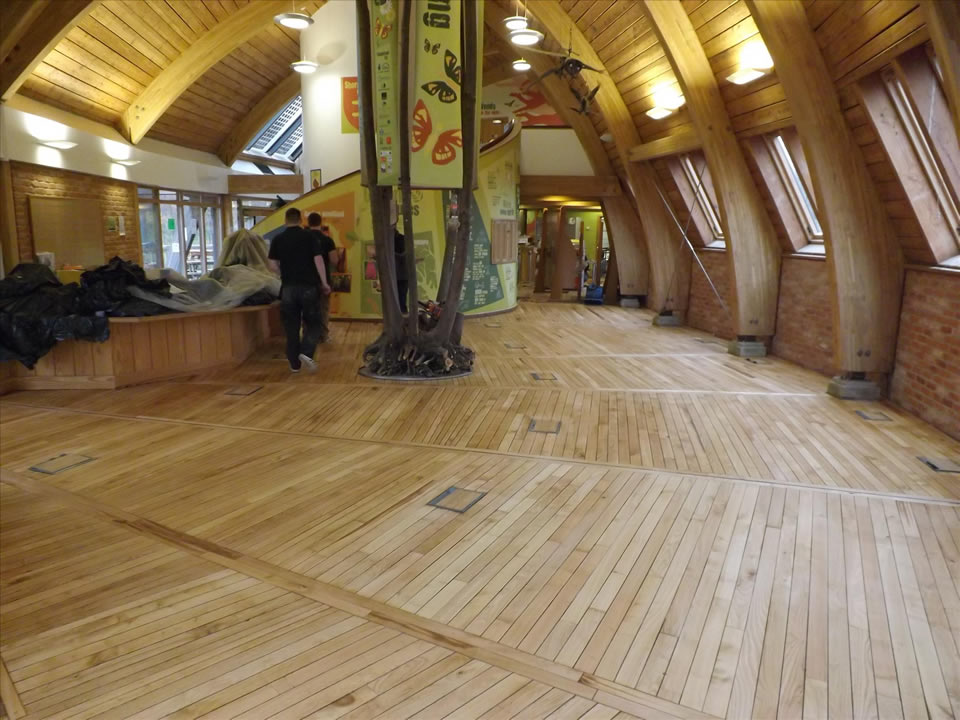 cafe floor junckers coating