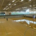 Sports hall restoration